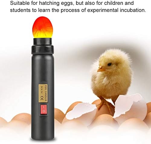 Yumurta kuluçka, parlak Serin led ışık Yumurta Candler Test Pil Kumandalı Yumurta Candling Lamba Mini Aydınlatma Kuluçka