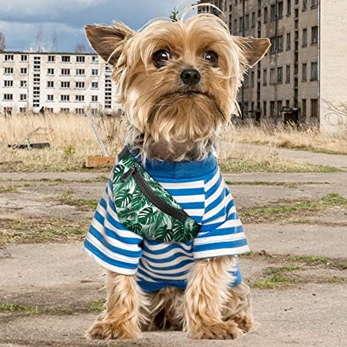 HSXOOW Pet Köpek Sırt Çantası Palmiye Yaprağı Köpek Paketleri omuzdan askili çanta Açık Bel Çantası Küçük Pet Köpek için