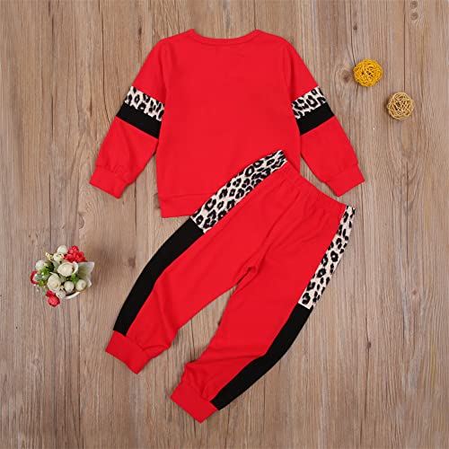 2 ADET Toddler Kız Giysileri 0-24 Ay Bebek Bebek Kıyafetler Set Kazak Üst Eşofman Altı Pantolon Eşofman