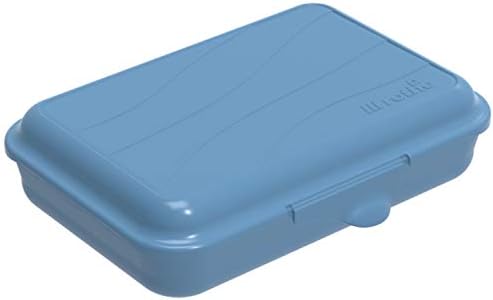 Rotho Fun Düz Öğle Yemeği Kutusu 0,45 l Tıklamalı Kapaklı, 0,45 l (16,0 x 11,0 x 4,0 cm), Mavi
