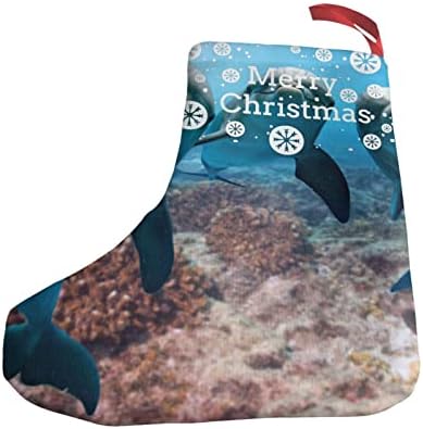GLRTORE Komik Yunus Size Bakıyor Noel Çorap 2 Paket 10 İnç, noel Çorap Noel Ağacı Şömine Asılı Çorap Noel Şeker Mevcut Çanta