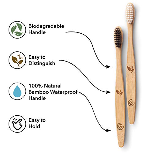 Greenzla Bambu Diş Fırçaları (12 Paket) | BPA İçermeyen Yumuşak Kıllı Diş Fırçaları / Çevre Dostu, Doğal Bambu Diş Fırçası /