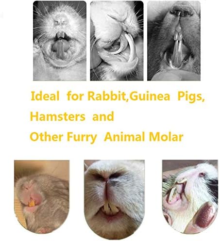 Ali York Hamster Çiğnemek Oyuncaklar, Doğal Ahşap Aperatif Oyuncaklar-3 Paket, Elma Çubukları Timothy Saman Çubukları Tatlı Bambu