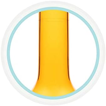 BQFLZY Hacimsel Flask Seti Kalınlaşmak Hacimsel Flask Cam Tıpa ile Lab Züccaciye Öğretim Araçları Yüksek Sıcaklık Dayanımı 2