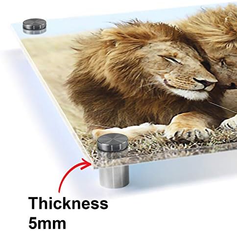 Akrilik Duvar Montaj Çerçevesiz Resim Çerçevesi, İki Lions Duvar Asılı Yüzer Fotoğraf Çerçeveleri, Temizle Pleksiglas Poster