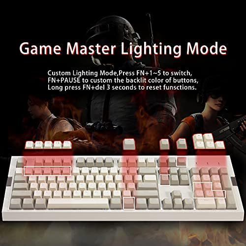 FLAGPOWER AK510 Retro RGB Mekanik Oyun Klavyesi 104 Tuşları Anti-Gölgelenme-PBT SA Küresel Keycaps-Klasik Gri-Beyaz Eşleştirme-RGB
