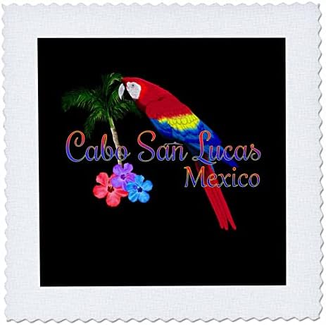 Cabo San Lucas'ta bir Amerika Papağanı papağanının 3dRose Renkli tropikal tasarımı. - Yorgan Kareleri (qs_352013_10)