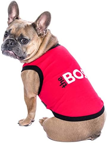 Parisli Pet Köpek Kedi Giyim Tee Gömlek Işlemeli T-Shirt Patron