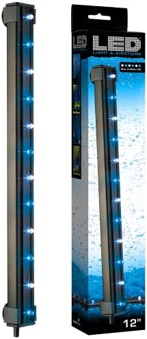 ViaAqua 12in 2.7 watt Mavi ve Beyaz LED ışık ve Hava Taşı