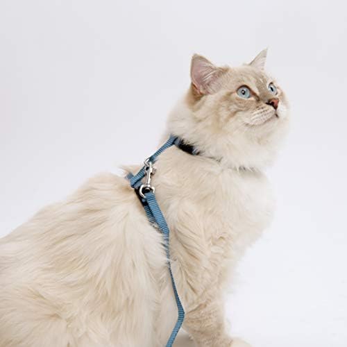 Catit Naylon Ayarlanabilir Kedi Koşum Takımı ve Tasma Seti, Orta, Mavi