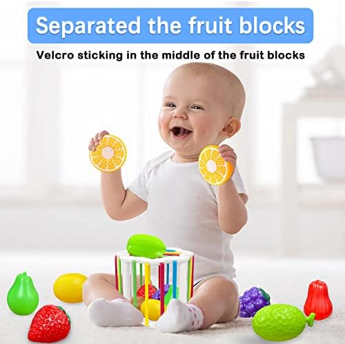 Bebek Şekil Sıralama Oyuncak, Meyve-Şekil Blokları Duyusal Bin ile Elastik Bantları, duyusal Sıralama Kutusu Ince Motor Beceri