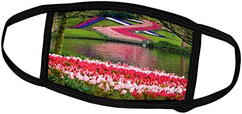 3dRose Hollanda, Lisse. Çok Renkli Bahar Çiçekleri Çiçek Açar. - Yüz Kapakları (fc_330352_1)