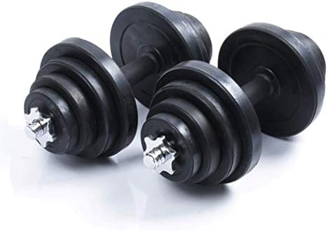 WDWL Dambıl Seti 20 kg (10kg2) ayarlanabilir Ağırlık Dambıl Spor Halter Fitness ekipmanları Erkekler ve Kadınlar Ev Fitness Eğitimi
