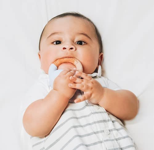 GooseWaddle Lüks Ahşap Bebek Diş Kaşıyıcı ve Çıngırak, Uzun Ömürlü Silikon Diş Çıkarma Oyuncaklar Bebekler için Yaş 4 + Ay, Rahatlatmak