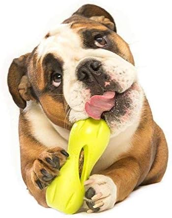 Batı Pençe Zogoflex Smokin Tedavi Dağıtım Köpek Çiğnemek Oyuncak ( Küçük, Mandalina) ve Zogoflex Qwizl Köpek Bulmaca Tedavi Oyuncak
