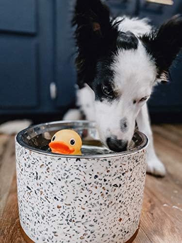 Paslanmaz Çelik Yıkanabilir İç Kase, Beyaz ile Gıda ve Su için Pet Junkie Terrazzo Yükseltilmiş Köpek Kase