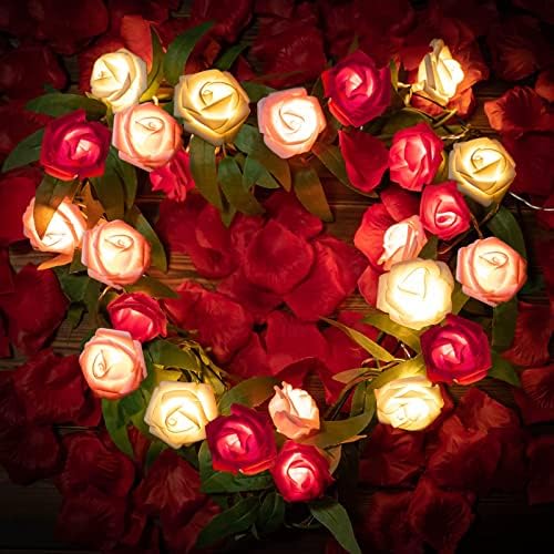Gül dize ışıkları, 20 LED pil kumandalı Romantik kırmızı pembe beyaz Gül ışıklar dize, 10Ft yapay çiçekler çelenk sevgililer