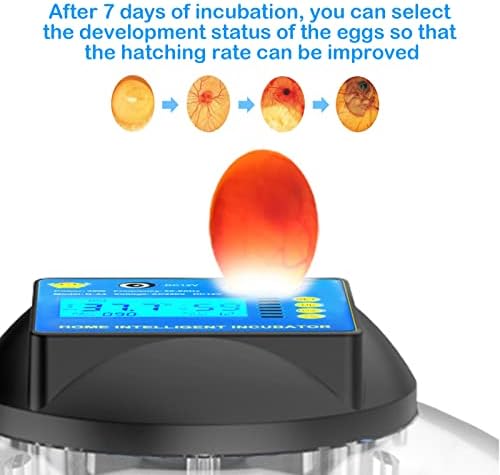 Suertree yumurta Kuluçka makinesi, 24 Yumurta Kanatlı Kuluçka Yumurta Candler ile Dijital Sıcaklık Nem Göstergesi Otomatik Yumurta