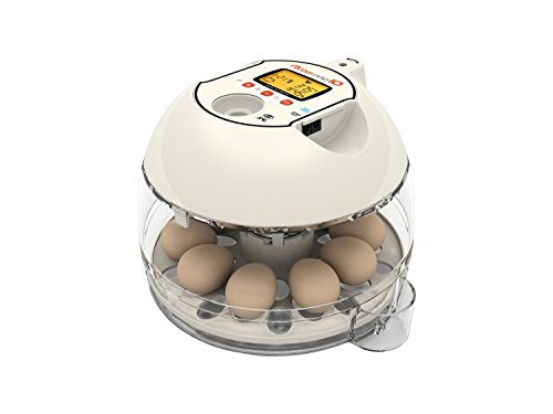 R-Com PX-10 Plastik/Metal Model 10 Pro APS'SİZ Otomatik Dijital Otomatik Dönen Yumurta İnkübatörü