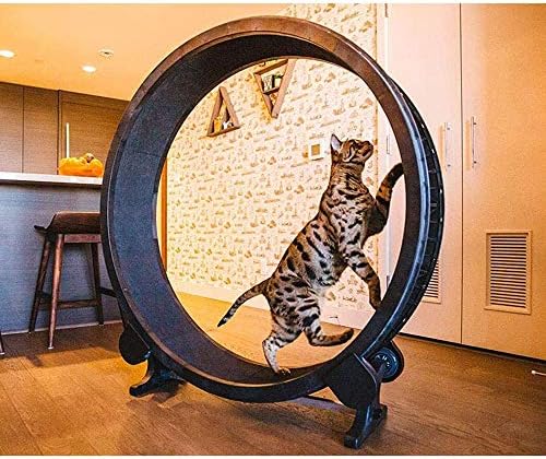 Köpek Koşu Bandı, Pet Kedi Egzersiz Tekerlek Koşu İplik Oyuncak Sessiz kedi Koşu Bandı ile Kaymaz Parça Pürüzsüz Serbestçe Çalıştırmak