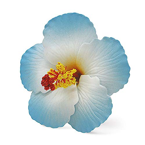 Hawaii Saç tokası Köpük Çiçek Ebegümeci Mavi