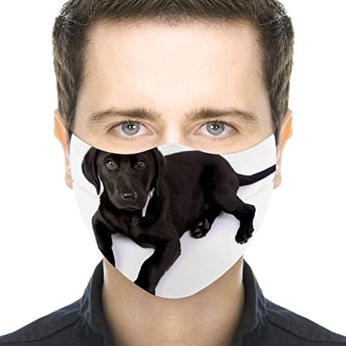Yüz Maskeleri Siyah Labrador Köpek Kullanımlık Toz Geçirmez Yüz Maskesi Yetişkin Erkekler Kadınlar için 1 ADET