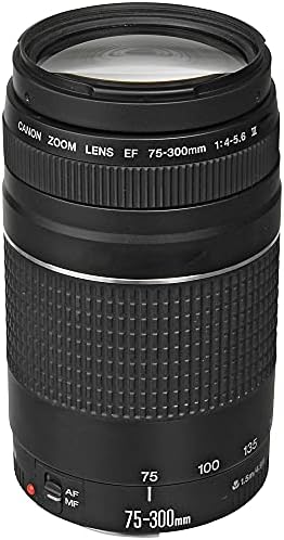 Canon EOS R6 Aynasız dijital kamera 20MP Tam Çerçeve ile RF24-105mm + EF75-300mm Daul Lens + SanDisk 64 GB Kart + Montaj Adaptörü