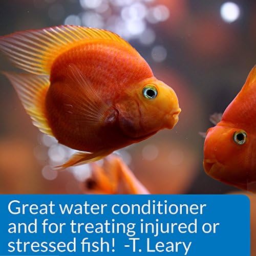 API Stress Coat Su Şartlandırıcı, Musluk Suyunu Güvenli Hale Getirir, Kullanım veya Balık Dövüşünden Zarar Görmüş Balıkların