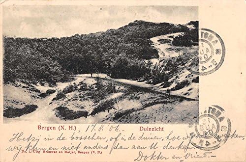 Bergen Kuzey Hollanda Hollanda Kum Tepeleri Duinzicht Antik Kartpostal J32055
