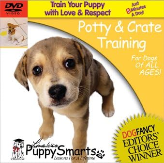 Köpek Smarts Lazımlık ve Sandık Eğitim CD-ROM