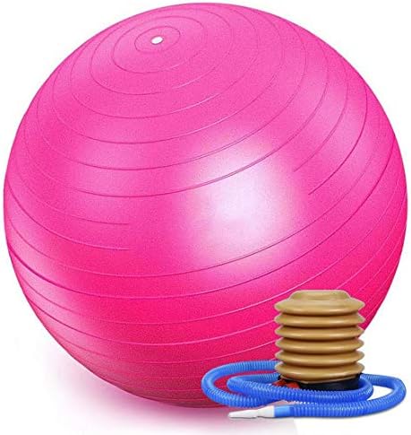 WTXDDQ Stabilty Topu Yoga Topu Küçük Yumuşak Pllates Topları Spor Topu Fiş Stoper Egzersiz Topu Gücü Pilates