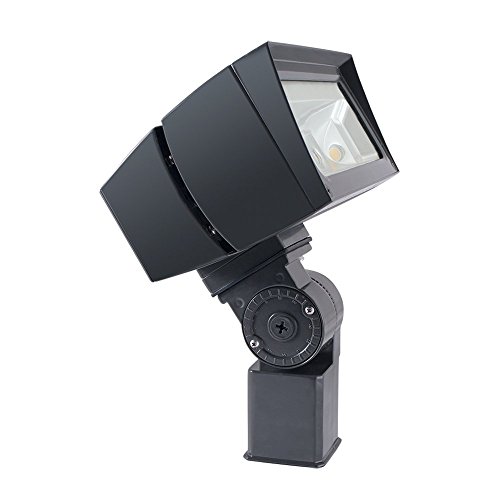 RAB Lighting FFLED26SFY LED Projektör, NEMA 7H x 6V Işın Yayılımı, Kaydırıcıya Monte Edilmiş, Standart Tip, 3000 K (Sıcak) Renk