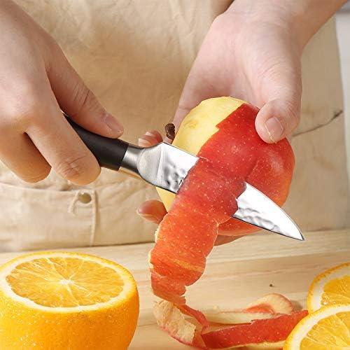 PAUDİN Soyma Bıçağı, 3.5 İnç Domates Bıçağı, Ergonomik Tam Tang ABS Saplı Keskin Yüksek Karbonlu Paslanmaz Çelik Meyve Bıçağı,