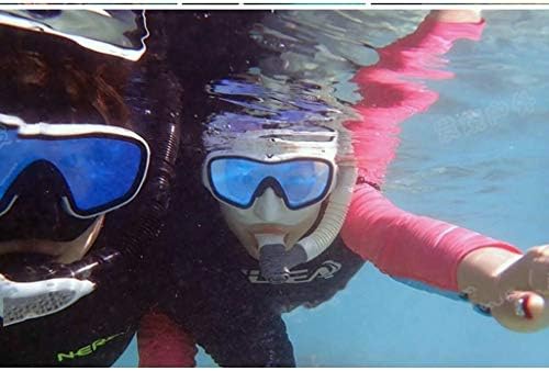 NYKK Çelenk Şnorkel Maske Açık Şnorkel Ekipmanları Dalış Gözlükleri Tam Kuru Şnorkel Seti Yüzme Tüplü Dalış Gözlükleri Noel Çelengi