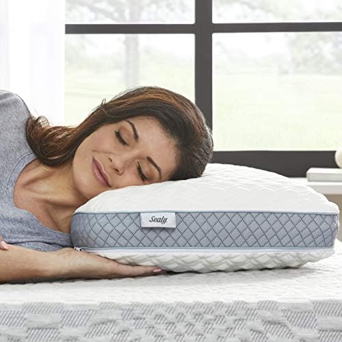 Sealy Molded Memory Foam Pillow, 1 Adet (1'li Paket), Beyaz, Gri